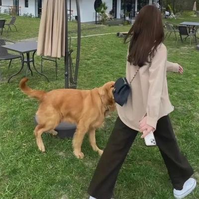 麻雀变王妃